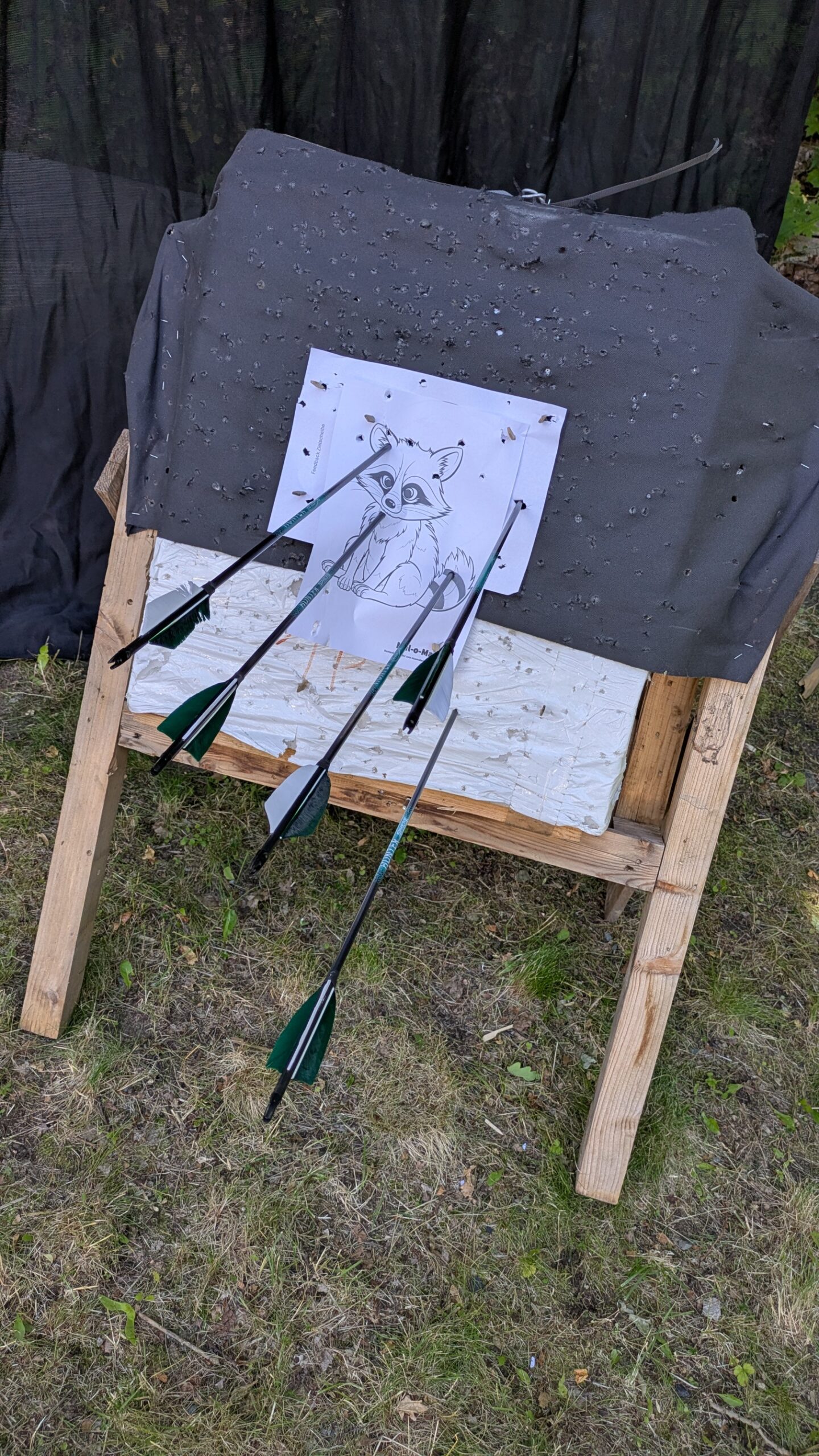 Sporttag mit dem BSZ-Vogtland